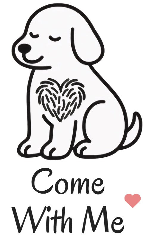 ComeWithMe